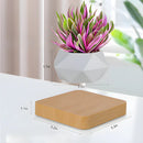 MagicGrow - Flydende Bonsai