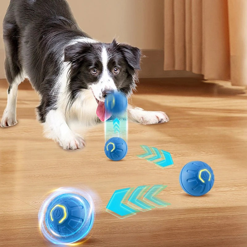 ZoomBuddy - Interaktiv smart hundebold med hoppe og tyggeligt design