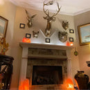 AnimalCraft - Elegant skulptur af dyrehoved til kreative rum