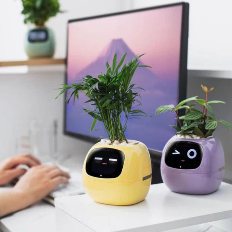 LeafTalk - Smart AI plantepotte med stemmereaktioner og automatisk vanding