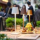 Luxalight - magisk lampe