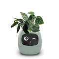 LeafTalk - Smart AI plantepotte med stemmereaktioner og automatisk vanding