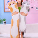 PawLoom – Yndige kattepuder med hyggeligt design og dekorative detaljer