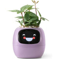 LeafTalk - Smart AI plantepotte med stemmereaktioner og automatisk vanding