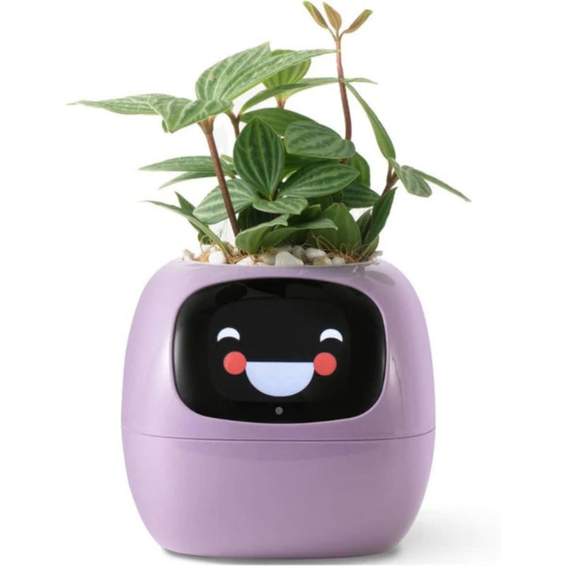 LeafTalk - Smart AI plantepotte med stemmereaktioner og automatisk vanding