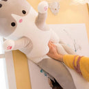 PawLoom – Yndige kattepuder med hyggeligt design og dekorative detaljer