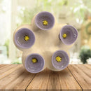 BeeSip - miljøvenligt drikkebæger til bier og insekter