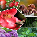 GrowPro – Universelle Langsomt Frigivende Økologiske Gødnings Tabletter til Indendørs Planter og Sukulenter