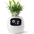 LeafTalk - Smart AI plantepotte med stemmereaktioner og automatisk vanding
