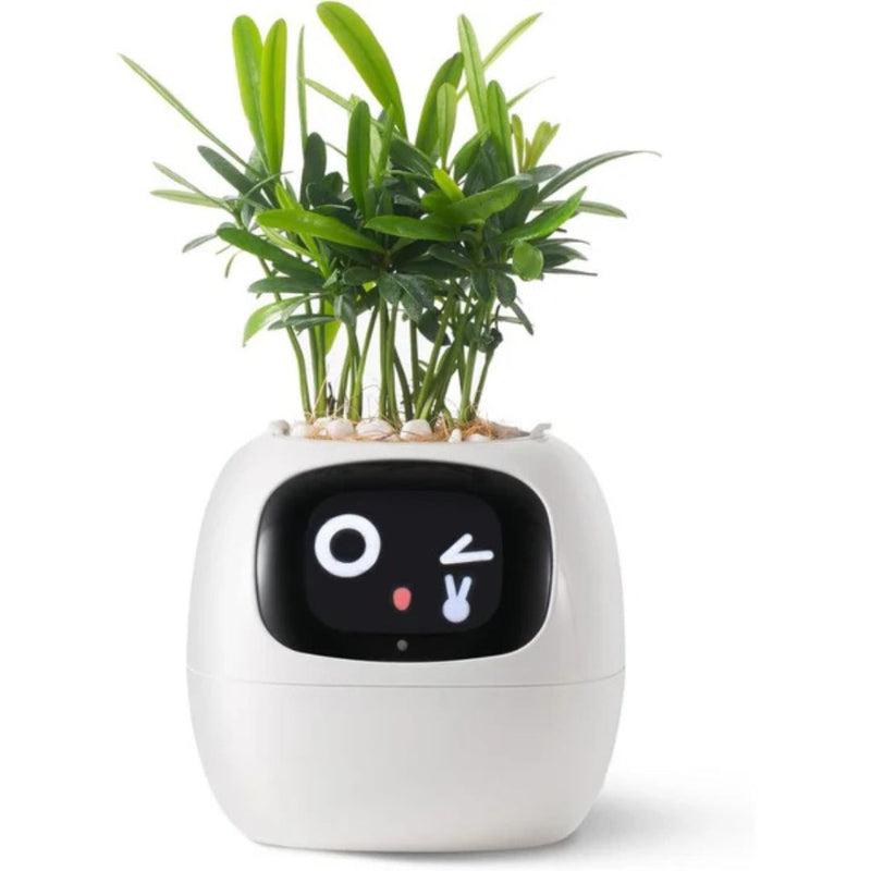 LeafTalk - Smart AI plantepotte med stemmereaktioner og automatisk vanding