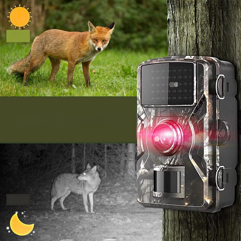 FieldLens – Kompakt udendørs trailkamera med infrarødt syn og vandtæt design