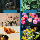 GrowPro – Universelle Langsomt Frigivende Økologiske Gødnings Tabletter til Indendørs Planter og Sukulenter