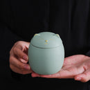 PawTrove – Yndige katteformede opbevaringsbeholdere med sikre låg til ryddelige rum