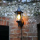 FlameFlow - Tyngdekraftslys Pære