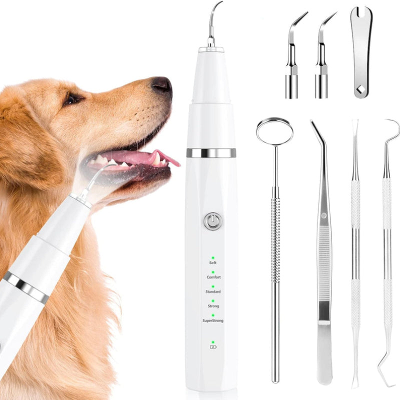 SparkPaws – Ultralyds tandplejesæt til kæledyr med LED spotlight og komplette rengøringsværktøjer