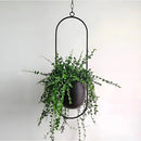 VerduraAura – Stilfuld Moderne Plantekrukke til Elegant Grøn Dekoration