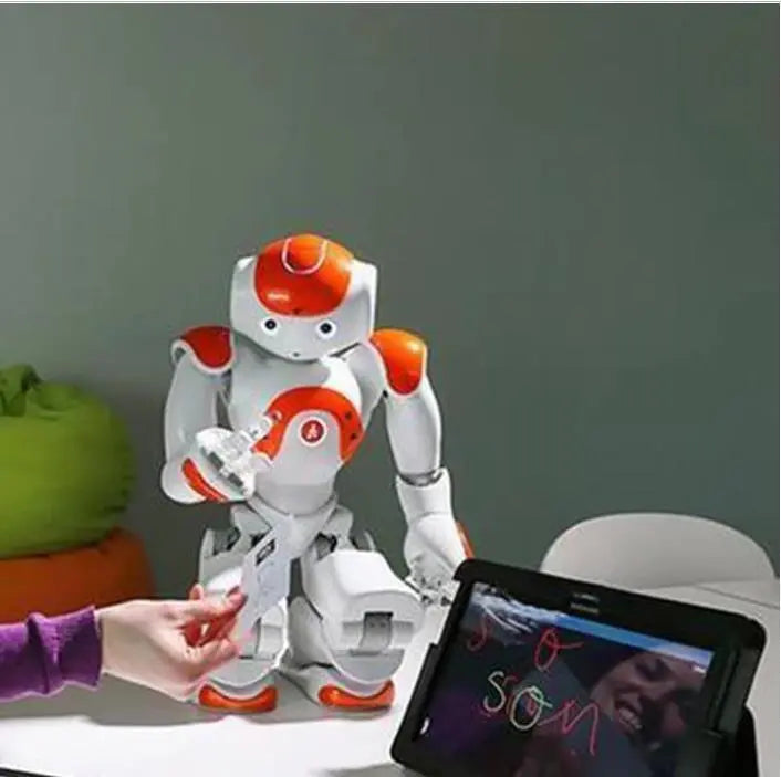 RoboBuddy  - Interaktiv Robot  Dansende, Talende og Lærende Følgesvend