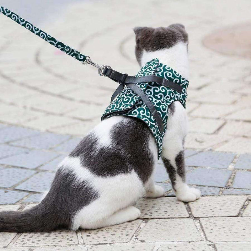 CatComfort – Flugtsikkert katteselesæt til sikre udendørs eventyr