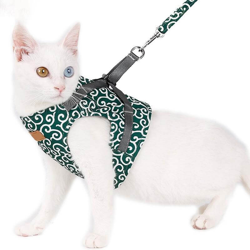 CatComfort – Flugtsikkert katteselesæt til sikre udendørs eventyr