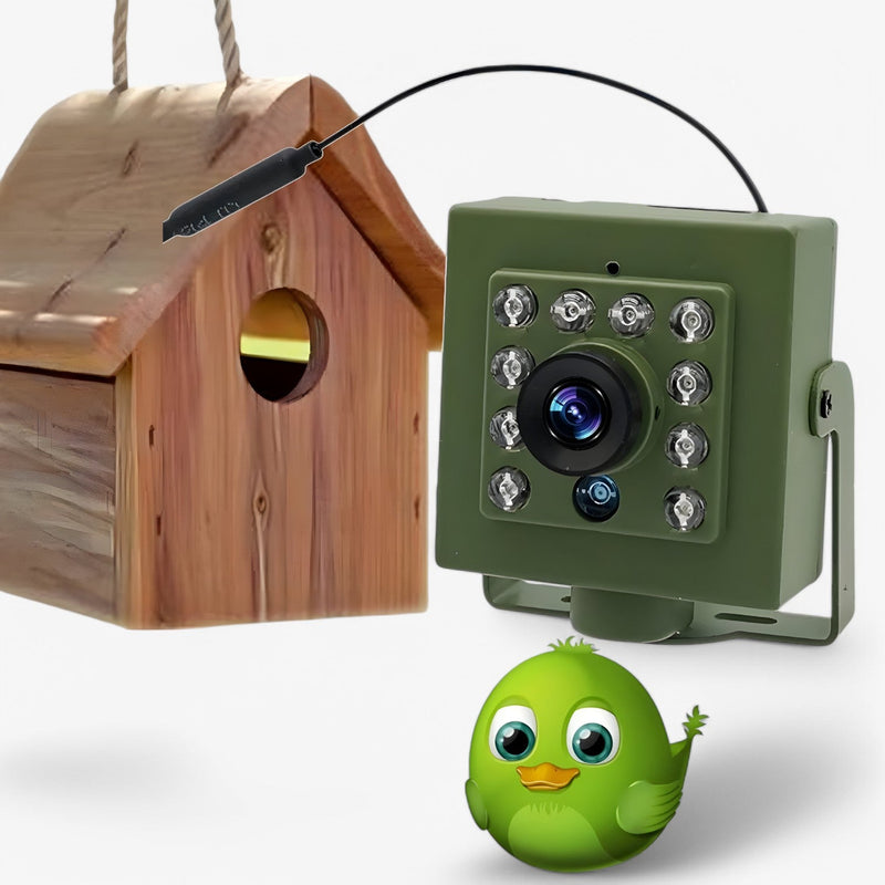 NestView – Fuglekiggeri WiFi Nest-kamera med nattesyn