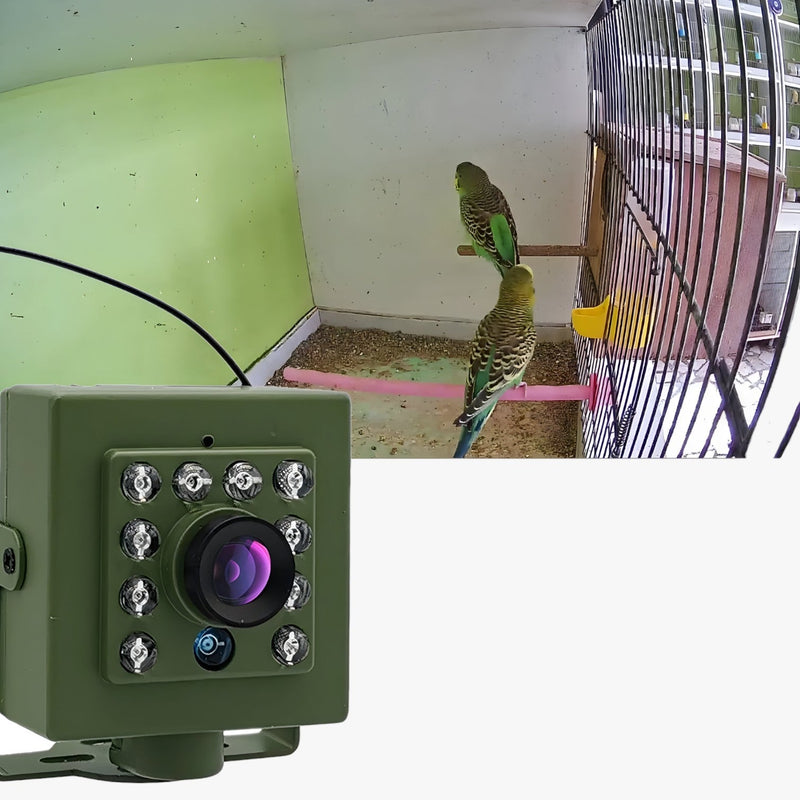 NestView – Fuglekiggeri WiFi Nest-kamera med nattesyn