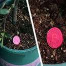 GrowPro – Universelle Langsomt Frigivende Økologiske Gødnings Tabletter til Indendørs Planter og Sukulenter