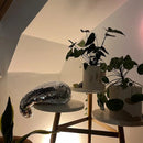 GlowMelt - Fængslende mosaiklampe med smeltende design