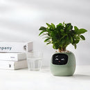 LeafTalk - Smart AI plantepotte med stemmereaktioner og automatisk vanding