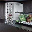 ScanScript - designbillede