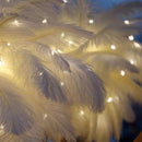 FeatherGlow - Stilfuld strudse-natlampe til romantisk stemning