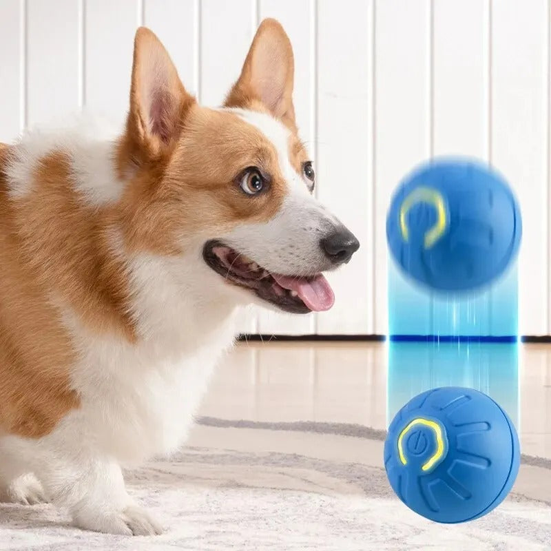 ZoomBuddy - Interaktiv smart hundebold med hoppe og tyggeligt design