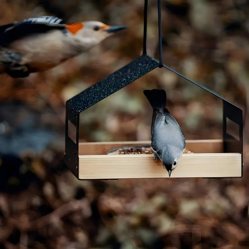 BirdHaven – Stilfuldt hængende fuglehus med indbygget foderautomat