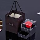 LuminaLove - Projection halskæde sæt