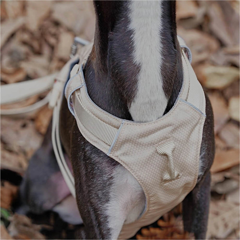 PawStrap – Anti-træk hundesele med dobbelte d ringe og snorfastgørelse
